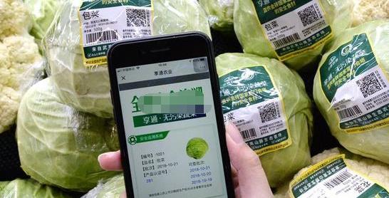 宁波防伪溯源系统私人定做，上海食品安全溯源系统网站