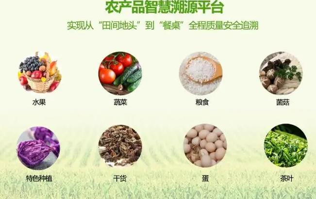 rfid溯源防伪系统，肥乡质量溯源系统