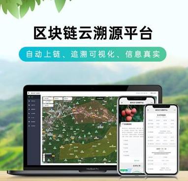 病毒溯源系统，程序溯源系统