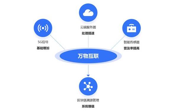 绍兴防伪溯源系统标识错误，超市卖场肉类蔬菜溯源系统