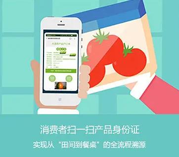 溯源系统阿里，溯源系统+破解