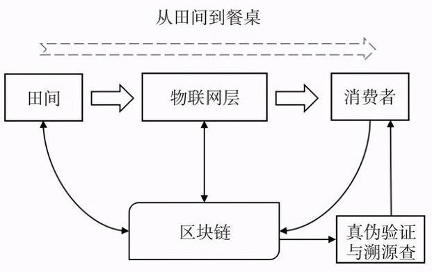 溯源系统源码，溯源系统流程图