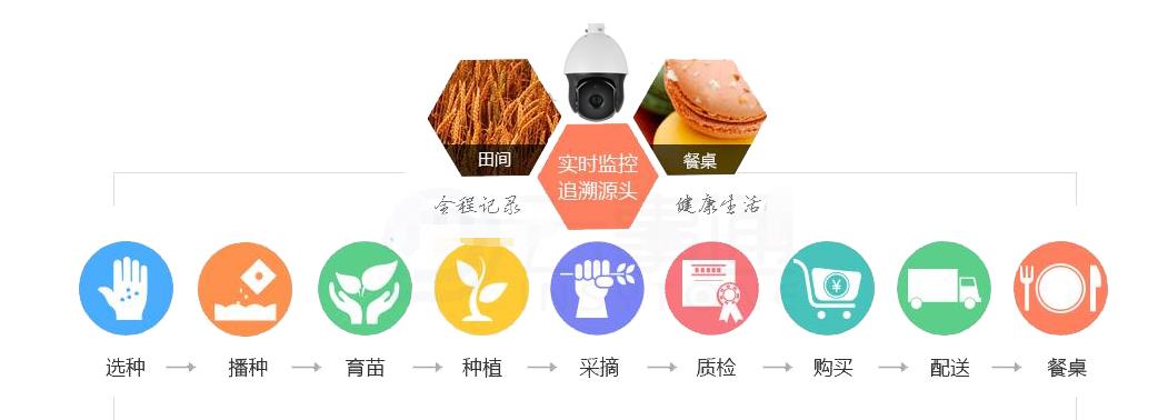 食品溯源管理系统怎样做，广东溯源追溯系统选哪家