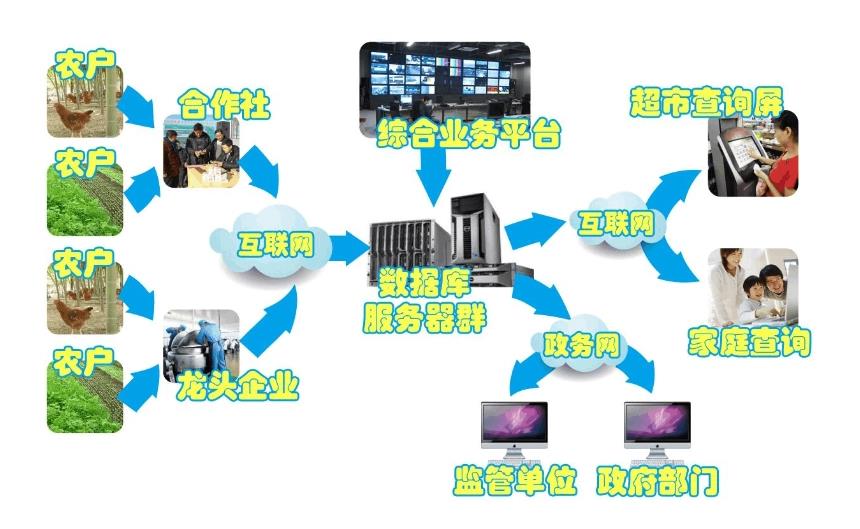 动态溯源系统，农产品溯源系统方案