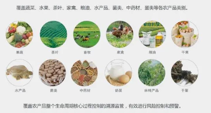 二维码溯源，上海食品溯源系统